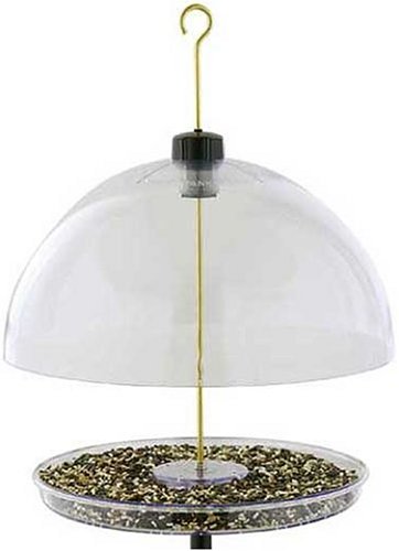 Dorothys Cardinal Feeder