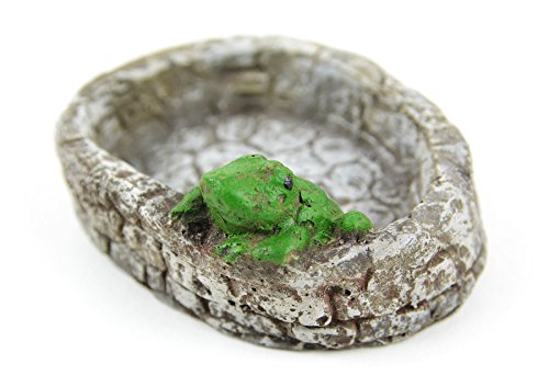 Touch Of Nature 1-Piece Miniature Garden Resin Pond with Frog, 2-Inch