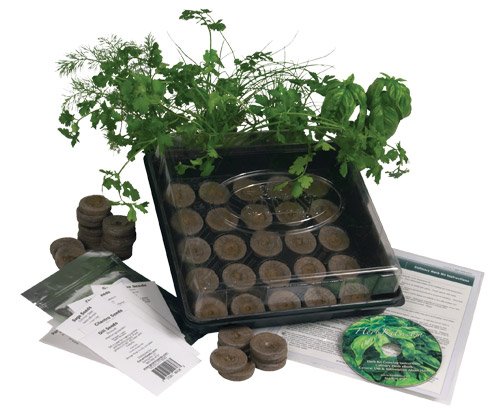 Living Whole Foods K5-1 Indoor Culinary Herb Garden Starter Kit, Grow Fresh Cooking Herbs & Spices