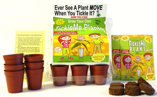 TickleMe Plant Greenhouse