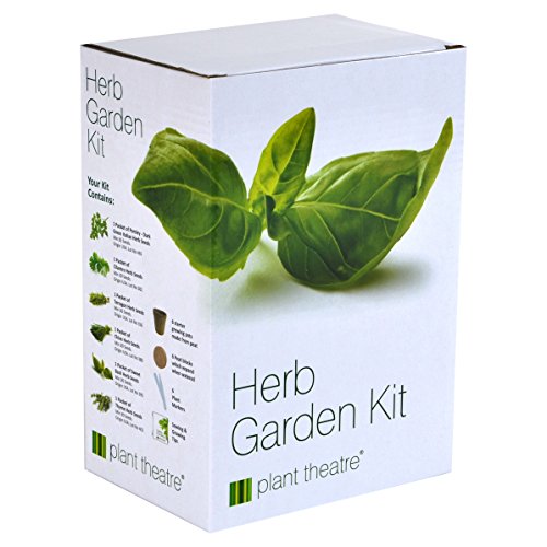 Plant Theatre Herb Garden Seed Kit Gift Box - 6 Different Herbs to Grow, Superb Gift!