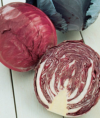 Cabbage, Salad Delight (Red) 1 Pkt. (200 seeds)