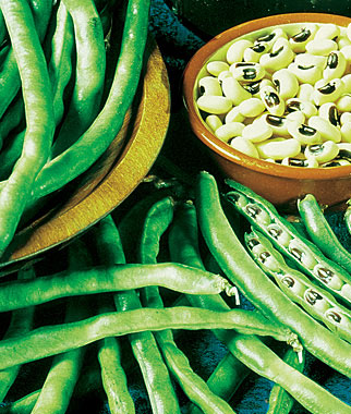 Cowpea, California Blackeye No. 5 1 Pkt. (100 seeds)