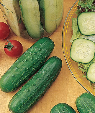 Cucumber, Double Feature Hybrid 1 Pkt. (35 seeds)
