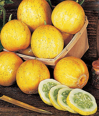 Cucumber, Lemon Organic 1 Pkt. (35 seeds)
