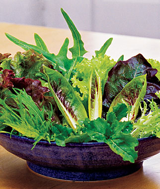 Mesclun, Salad Fresh Cutting Mix 1 Pkt. (500 seeds)