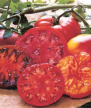 Tomato, Heirloom Taste Collection 4 Seed Pkts. (1 of each)
