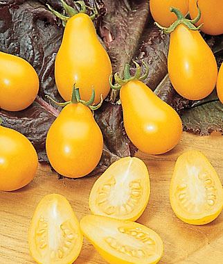 Tomato, Yellow Pear Organic 1 Pkt. (60 seeds)