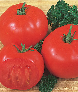 Tomato, Super Beefsteak 1 Pkt. (175 seeds)